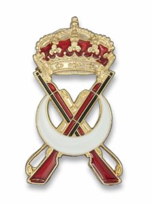 Distintivo Permanencia Regulares